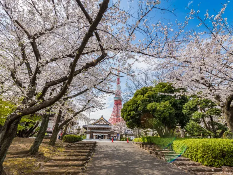 背景